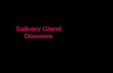 Salivary Gland Diseases · Developmental (Salivary gland aplasia) .1 Loss of body fluids as: .2 Impaired fluid intake Hemorrhage Vomiting and diarrhea Medications as antihistamines,