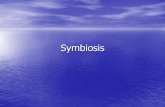 Symbiosisoneilbio.weebly.com/.../1/3/3/4/13346597/symbiosis_ppt.pdf · 2019-10-26 · Symbiosis •Close (intimate) and often long-term interactions between different biological species