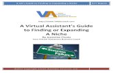 Finding or Expanding Your Nicheyoursucesscbt.files.wordpress.com/2016/06/virtual-assistant-finding-or...a niche or have decided whether or not having a specific niche is right for