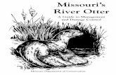 Missouri’s River Otter · for limiting otter populations in areas where they do substantial damage to fish populations in private lakes and ponds. Smaller bag limits are established