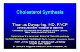 Cholesterol Synthesis - LipidCenter · Microsoft PowerPoint - Ppt0000004.ppt [Read-Only] Author: Administrator Created Date: 9/17/2008 12:46:50 AM ...