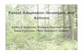 Forest Adaptation Strategies and Actions of Power… · Change is Coming Cap and Trade program – Potential funding for wildlife adaptation – The predicted changes are big and