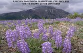 A CROWN ADAPTATION PARTNERSHIP (CAP) TOOLBOX FOR … · TAKING ACTION ON CLIMATE CHANGE ‘Taking action on climate change’is a strategic initia-tive of the Crown Adaptation Partnership
