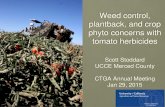 Weed control, plantback, and crop phyto concerns with ... · phyto concerns with tomato herbicides Scott Stoddard UCCE Merced County CTGA Annual Meeting Jan 29, 2015 . Yellow nutsedge