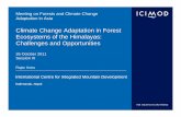 Climate Change Adaptation in Forest Ecosystems of the ...€¦ · Donor’s Forests-related CCA Model (in Biodiversity Hotspots) Goal Climate change coping capacities of the vulnerable