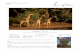 Wildlife Journal - Singitasingita.com/.../07/Singita-Pamushana-June-Wildlife... · beauty, at the start of the month, in a state of undress from green to gold. ... establish a new