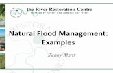 Natural Flood Management: Examples · Natural Flood Management: Examples Jenny Mant . Current Situation •15th May the EC science for environment policy announced: Extreme and catastrophic