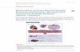 Preservation of Post-Infarction Cardiac Structure and ... · PRECLINICAL RESEARCH Preservation of Post-Infarction Cardiac Structure and Function via Long-Term Oral Formyl Peptide