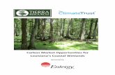 Carbon Market Opportunities for - Tierra Resources LLC · 2015-03-05 · Carbon Market Opportunities for Louisiana’s Coastal Wetlands 5 5 Findings The final results revealed that