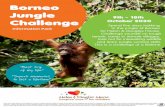 Information Pack · rainforest to enjoy and opportunities to see proboscis monkeys, orang-utans and elephants, among other animals in the wild. Kinabalu National Park Kinabalu National