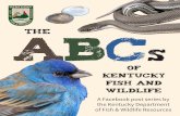 the ABC - Kentucky Department of Fish and Wildlife Resources of Kentucky... · 2019-12-05 · The American Eel is a long, slender, snake-like fish that can reach five feet in length.