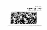 C560 Corn Production Handbooksoilcropandmore.info/crops/Corn/Kansas-Corn-Production... · 2011-01-11 · Joseph P. Harner III, Extension Agricultural Engineer Randall A. Higgins,