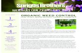 Newsletter february 2011 · herbicide on dormant grass won’t harm your turf, but if you over seeded with winter rye or fescue, the vinegar will kill the cool season grass. You can