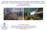 Removal of Marine Debris from Reef Areas in Gulf of Mannar ... · Gulf of Mannar - Biodiversity & Conservation Status • Key coastal habitats are coral reefs, seagrass beds, mangroves