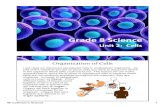 Grade 8 Science - MrCollinson.camrcollinson.ca/Tuck/8 science/cells/8_science_cells_lesson_19.pdf · Last class we discussed specialized cells in multicellular organisms. As ... •I