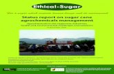 Status report on sugar cane agrochemicals management · 2009-05-04  · Status report on sugar cane agrochemicals management Agrochemicals in the sugarcane industries: health and
