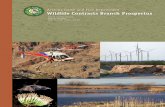 Arizona Game and Fish Department Wildlife Contracts Branch ... · experience in the Wildlife Management and Ecology Fields. All members of the Branch are dedicated to furthering the
