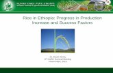 Rice in Ethiopia: Progress in Production Increase and ... · agricultural extension services, promotion of cooperatives, education and resettlement program (Kebede, 2011) ... abundant