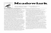 Meadowlark€¦ · The Newsletter of Genesee Valley Audubon Society January-February 2016 Vol. 43, No. 3 President’s Column by June Summers, President of GVAS The Centennial of