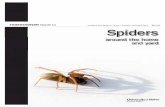 HOMEOWNER Guide to by Edward John Bechinski, Dennis J ...€¦ · Spiders of North America – An Identification Guide. American Arachnological Society.) 6 HOMEOWNER Guide to PART