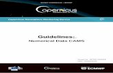 Guidelines: Numerical Data CAMS - Copernicus · the data license: CAMS data license (document available on the website). 2. Production CAMS (portfolio) NRT DATA AVAILABILITY: Grib2