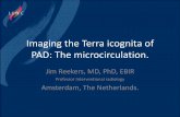 Imaging the Terra icognita of PAD: The microcirculation. · Imaging the Terra icognita of PAD: The microcirculation. Jim Reekers, MD, PhD, EBIR Professor Interventional radiology