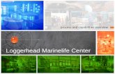 Loggerhead Marinelife Centers3images.coroflot.com/user_files/individual_files/... · malone design/fabrication Author: Lauren Gisel Created Date: 8/11/2017 7:24:53 AM ...