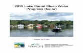 2019 Lake Carmi Clean Water Progress Report · work completed to date to meet Lake in Crisis Response Plan objectives that should translate into water quality improvements in Lake