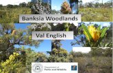 Banksia Woodlands Val English€¦ · Banksia woodland sub-types 11 FCTs of Banksia Woodlands on the southern SCP in Gibson et al. (1994) and Keighery et al. (2008): Community type