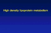 High density lipoprotein metabolism · High density lipoprotein metabolism . Lipoprotein classes and atherosclerosis Chylomicrons, VLDL, and their catabolic remnants LDL HDL Pro-atherogenic