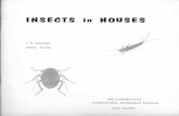 Insects in the House - portal.ct.gov€¦ · Household insects have been controlled either by fumigation or by insecticides. For many years fumigation was the most effective control.