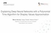Explaining Deep Neural Networks with a Polynomial Time ...13-09-00)-13-09-25... · Explaining Deep Neural Networks with a Polynomial Time Algorithm for Shapley Values Approximation