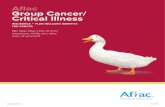 Aflac Group Cancer/ Critical IllnessUNITED STATES. THIS TOTAL INCLUDES THE COST OF HEALTH CARE SERVICES, MEDICATIONS AND LOST PRODUCTIVITY.2 FACT NO. 1 FACT NO. 2 1 Business Pulse,
