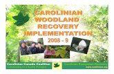 Carolinian Ecosystem Recovery Collaborating for a Healthy ... · Collaborating for a Healthy Ecoregion Carolinian Ecosystem Recovery CAP Network of Community Strategies Ecosystem
