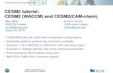 CESM2 tutorial: CESM2 (WACCM) and CESM2(CAM-chem)€¦ · CESM2.1.1 WACCM6 coupled ocean configurations Compset Supported resolutions CMIP6 experiment Description BW1850 f09_g17 piControl