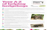 Your A-Z of helping hedgehogs · Your A-Z of helping hedgehogs … is for Autumn orphans and juveniles. Keep an eye out for any small hedgehogs that look underweight. If you find