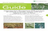 Integrated Pest Management (IPM) practices for whitefly in ... · Integrated Pest Management (IPM) uses a combination of different strategies to control pests. In tomato, pepper,