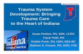 Trauma System Development: Bringing Trauma Care to the ...€¦ · State legislators, IHA, IRHA, EMS Commission Professional organizations: ACEP, ISMA, ENA, ACS -COT State agencies: