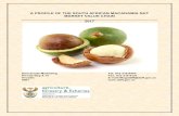 A PROFILE OF THE SOUTH AFRICAN MACADAMIA NUT MARKET … Public… · macadamia nut producer in the world in 2015, thereby surpassing Australia (where they originated) and Hawaii.