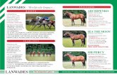 LANWADES STALLIONS ARCHIPENKO · LANWADES – Worldwide Impact… YEARLINGS Staffordstown sells Lanwades-bred yearlings at Tattersalls Ireland, Goffs Orby and at the Tattersalls October