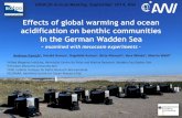 Effects of global warming and ocean acidification on ... · IMG_0946.JPG . Tide simulation low tide . Tide simulation high tide . Temperature regulation Aqua medic ...