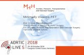 PowerPoint-Präsentation · 2018-11-01 · Minimally invasive FET Prof. Dr med. Malakh Shrestha Vice Chairmah & Director of Aortic Surgery Div. of Cardio-thoracic, Transplantation