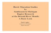 Hawk Migration Studies by Southeastern Michigan Raptor …web4.uwindsor.ca/.../$FILE/Cypherv2slides.pdf · First season w/100,000+ birds. 1998:Obtained 501(c)3 status 2000: Hired