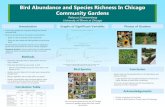 Bird Abundance and Species Richness In Chicago Community ...€¦ · All of the birds sighted across the 25 Chicago community gardens along with their overall abundance Correlation