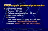 WEB-программированиеgun.cs.nstu.ru/web/lections/1_start.pdf · 2016-02-09 · Особенности языка JavaScript. Объектная модель документа