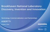 Brookhaven National Laboratory Discovery, Invention and ... · $9,463,679.20 $1,242,883.00 $3,215,820.00 $9,400,000.00 $1,747,300.00 ... • Organizational focus: Global and Regional