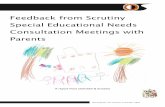 Feedback from Scrutiny Special Educational Needs ... · Feedback from Scrutiny Special Educational Needs Consultation Meetings with Parents 06 3.1.10 Last but not least, parents want