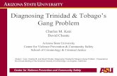 Diagnosing Trinidad & Tobago’s Gang Problem Choat… · Consortium and the TT Peace Programme. –Surveyed approximately 4,000 students, Forms 4 thru 6, (i.e., USA comparison grades