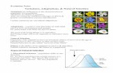 Variations, Adaptations, & Natural Selection · Evolution Notes Variations, Adaptations, & Natural Selection Variations are differences in the characteristics of organisms in a population