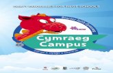DRAFT GUIDELINES FOR PILOT SCHOOLS · Siarter Iaith Gymraeg On-line Questionnaire Here are the ten questions which pupils from years 3 to 6 will complete as an online questionnaire